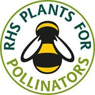 Plant things to encourage pollinators such as bees and butterflies
