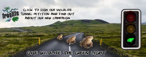 Join Froglife's campagin for Wildlife Trunnels - please sign their petition