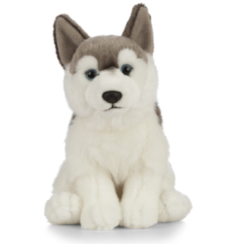 What about having a soft toy husky in your home?