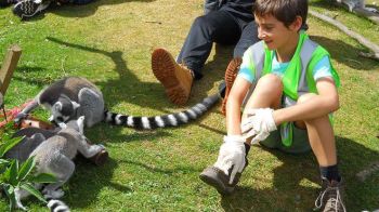 ZSL London Zoo has a number of experiences for children and young people