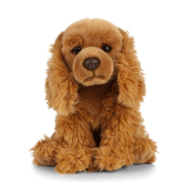 This is the Cocker Spaniel