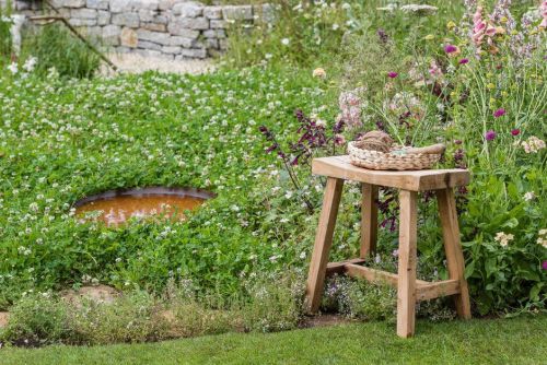 Rewild your garden with tips from Springwatch