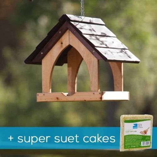Gothic hanging bird table + 10 Super suet cakes offer
