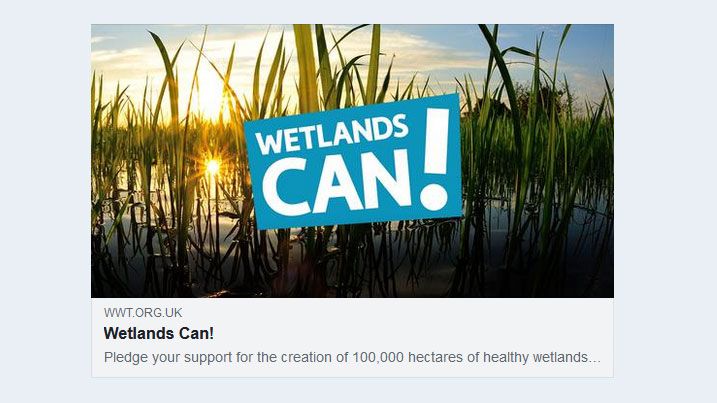 Please pledge your support today for wetlands here