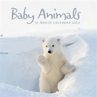 Baby Animals Calendars 2023 from the CalendarClub