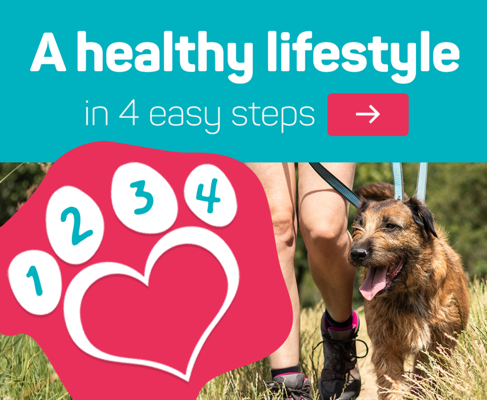 Find out more about Viovet's  healthy lifestyle in 4 easy steps