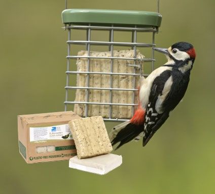 These Favourite Suet cakes are half price when you spend £30!