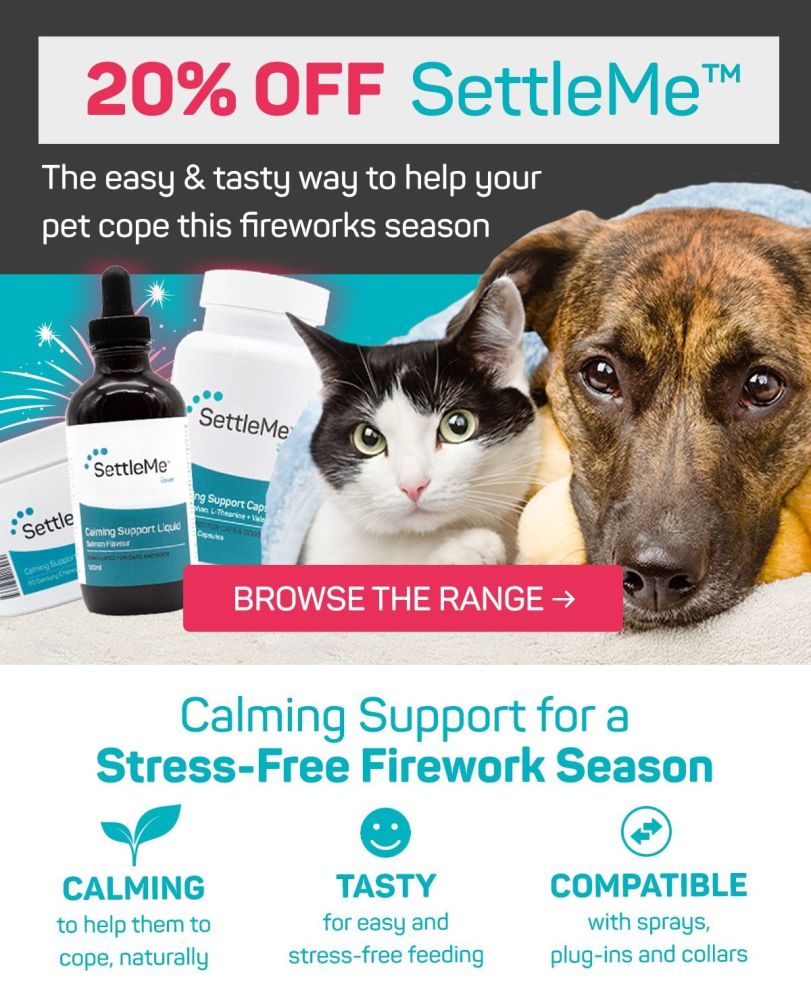 Help your pets cope this fireworks season