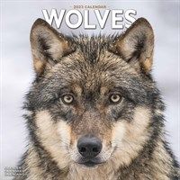 View the range of wolf calendars the CalendarClub has for 2023!