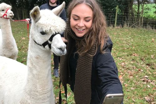 There's an Alpaca Walking Experience for Two at Middle England Farm