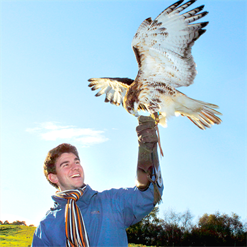 There are lots of falconry experiences to choose from