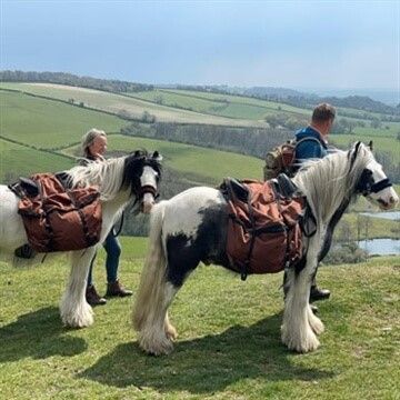 There's Ancient Trails Pony Walking in Dorset