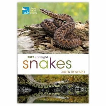 Spotlight Snakes is available from the RSPB Shop.  