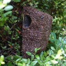 How about a Brushwood tree nester for your garden wildlife?