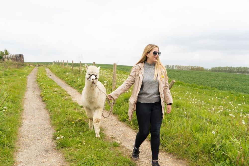 There's Alpaca Trekking and Entry to Eagle Heights Wildlife Foundation for Two