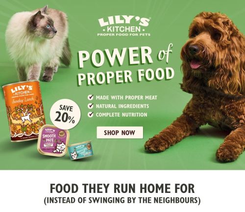 Save 20% on Lily's Kitchen Proper Food