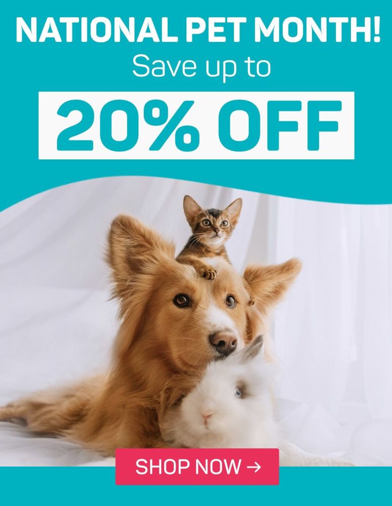 Save up to 20% off with Viovet during National Pet Month