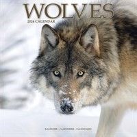 How about a Wolf Calendar to see you through 2024?
