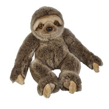 The Natural History Museum has some wonderful soft toys, including this sloth!
