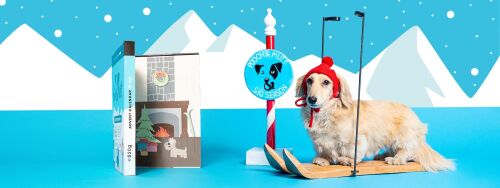 Dig for more information on the Limited Edition Luxury Dental Stick Advent Calendar For Dogs!