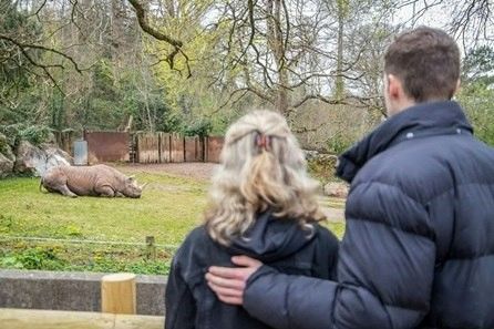 There's a Paignton Zoo Exclusive Black Rhino Experience with Entry Tickets for Two
