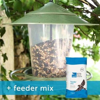 This Eco beacon feeder with feeder mix is now £14.00
