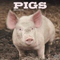 The Calendar Club have this lovely Pigs Calendar to see you through 2025!