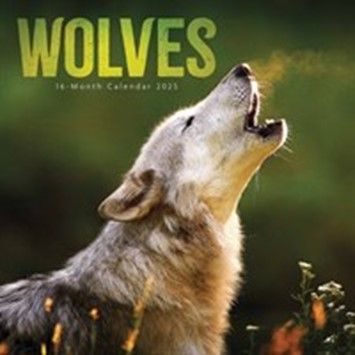 Take a look at the Wolves calendars available from the Calendar Club here