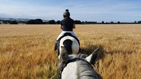 90-Minute Horse Riding Experience for One with Eat, Sleep, Ride