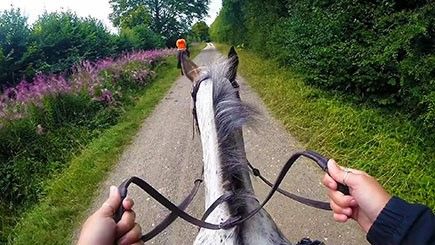 Horse Riding and Lunch in Bedfordshire for Two