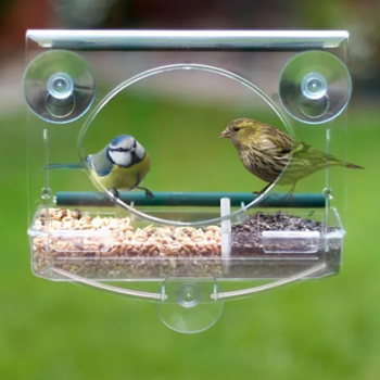 Why not use a window feeder, if you don't have a garden?