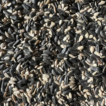 How about this Sunflower Heart Value Seed Mix?
