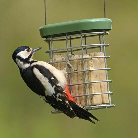 Spend £30 and get the RSPB's box of 10 Favourites suet cakes half price!