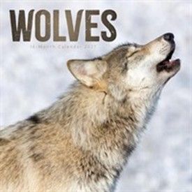 This is the Wolves Calendar 2027