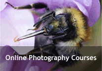 Click here to see the range of photography courses on offer