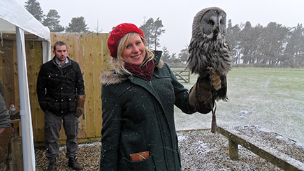 Owl Encounter at Falcon Days in Northumberland