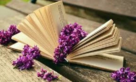 Scented Leaf Pelargonium books