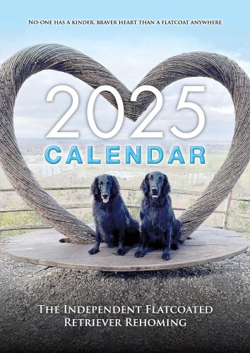 2025 CALENDAR cover