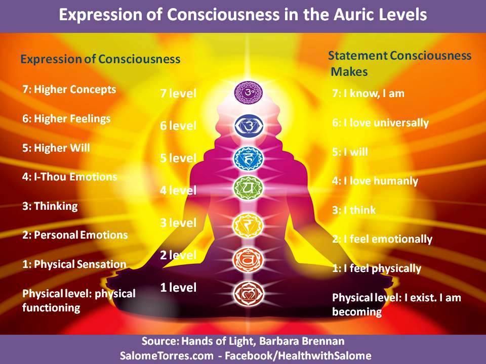 chakra and consciousness