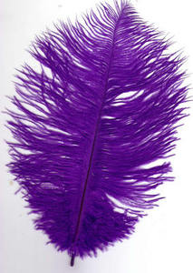 Ostrich Feather - Purple