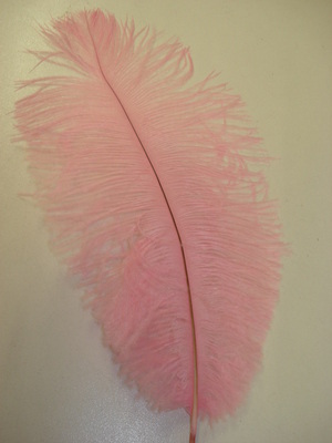 Ostrich Feather - Pink
