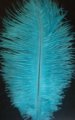 Ostrich Feather - Kingfisher