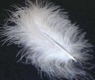 Marabou Feather - White