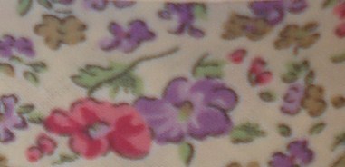 25mm Cream Floral Bias Binding - Fantasia 1181