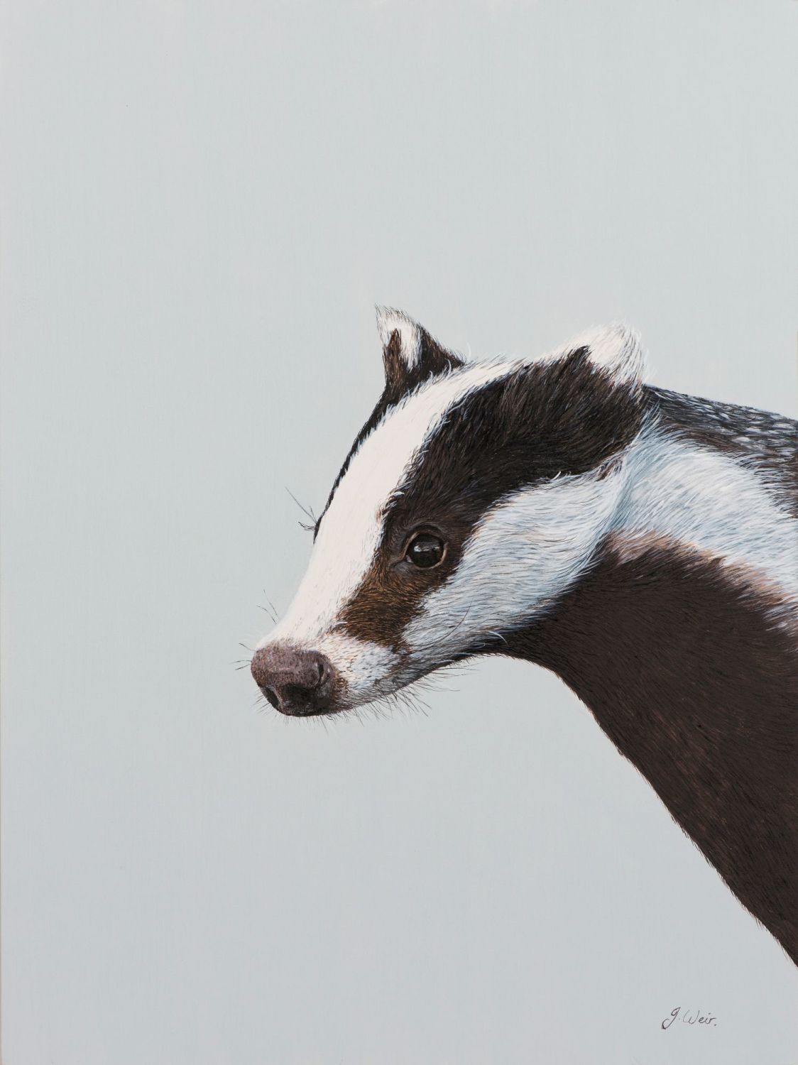 'The Artful Badger' 25cm x 33cm