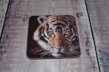 Tiger Coaster