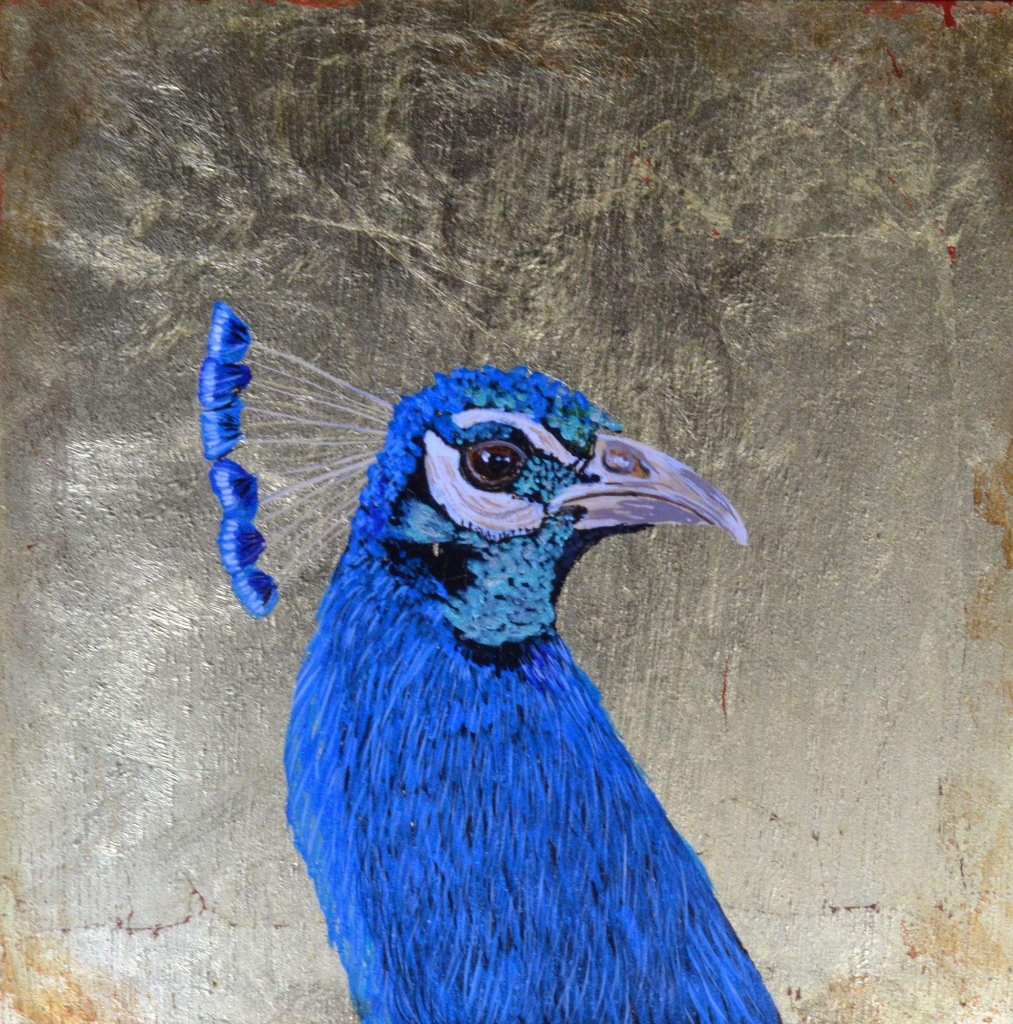 Original Blue Peacock on a gold leaf background by Julie Weir