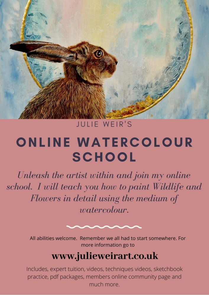 online watercolour course (3)