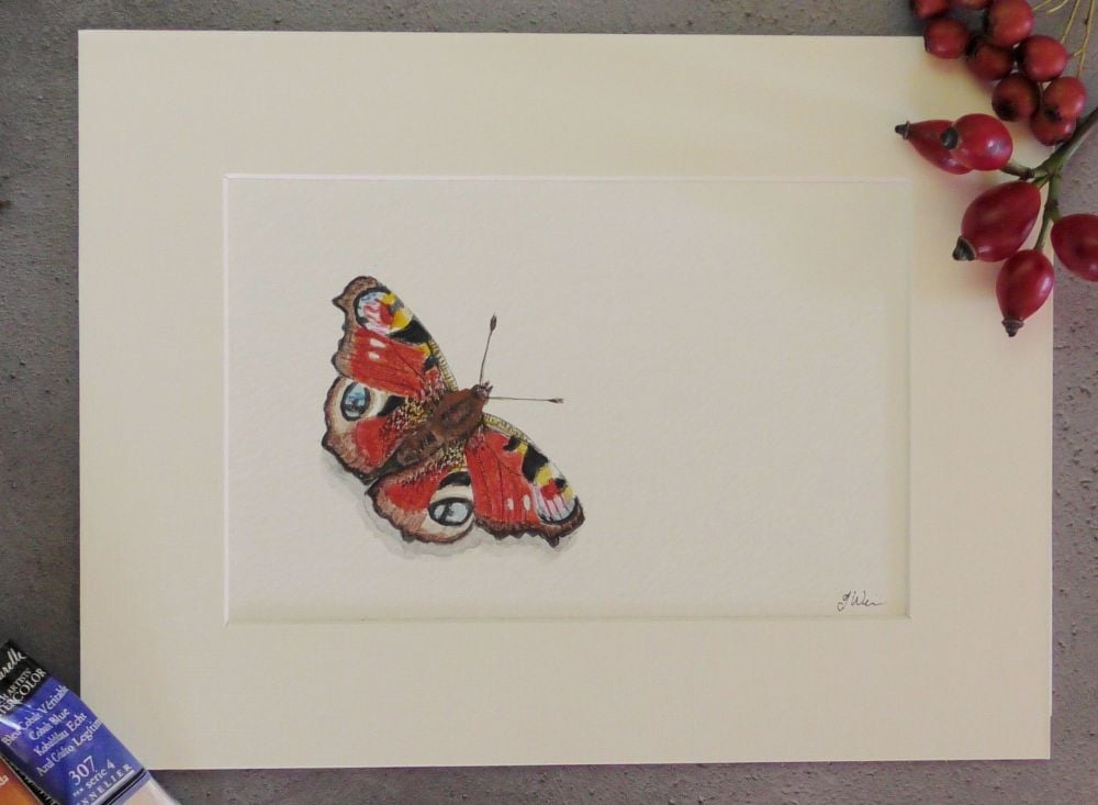 The Peacock Butterfly, Original Watercolour painting.