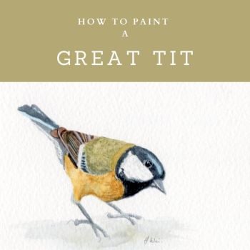 How to Paint a Great Tit.